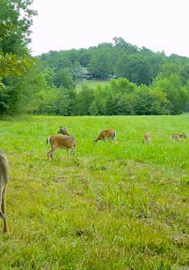 150 Twin Creeks, Ben Lomond, AR 71823 - photo 2