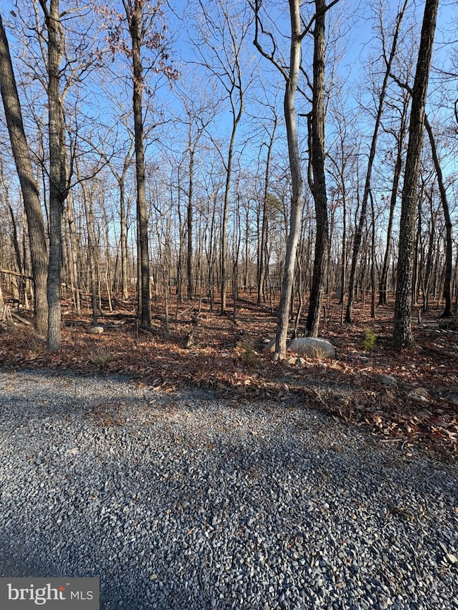 Lot 12 Crow Dr, Winchester, VA 22601 - photo 2
