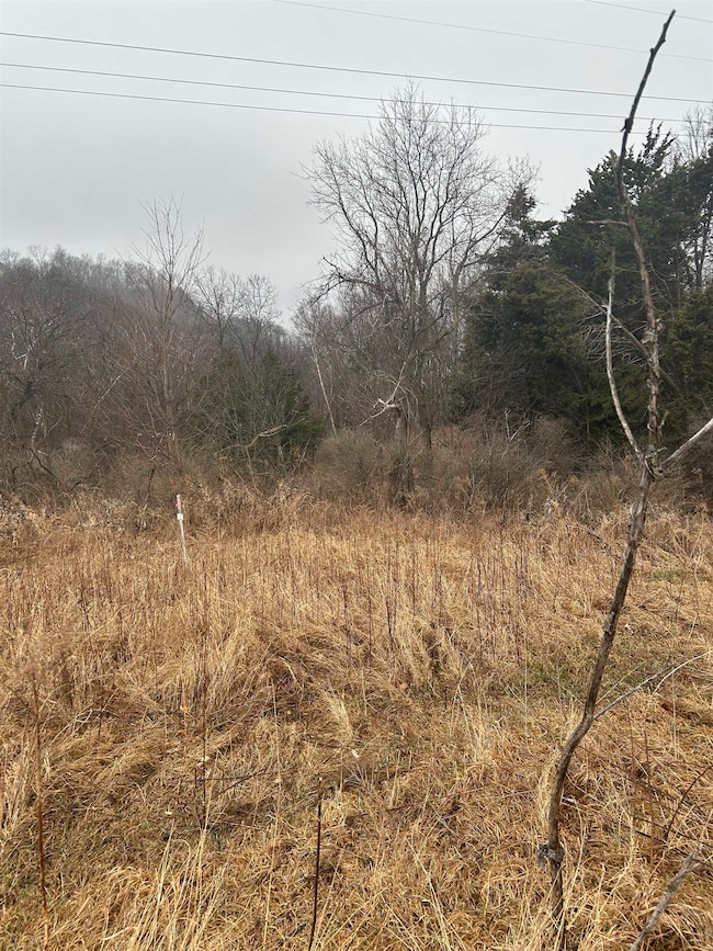 3707 Eckert Ln, Genoa, WI 54632 - photo 3