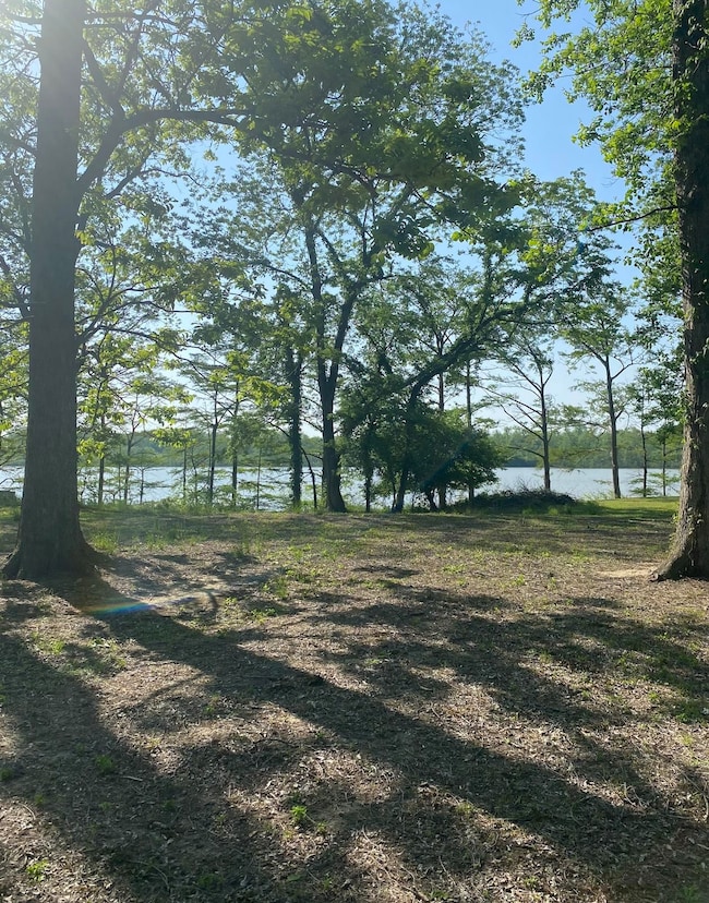 8 Neill Cove, Dundee, MS 38626 - photo 6