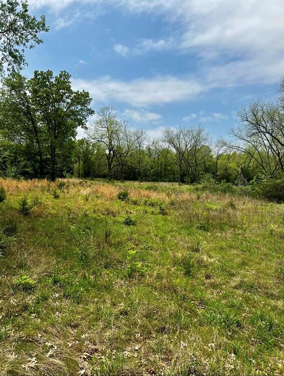 0 Harrison unit 1109428, Tecumseh, OK 74873 - photo 6