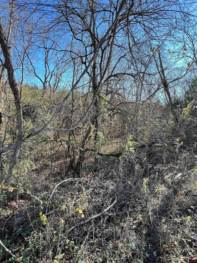 001-08378-001 Highway 62 W, Pyatt, AR 72672 - photo 7