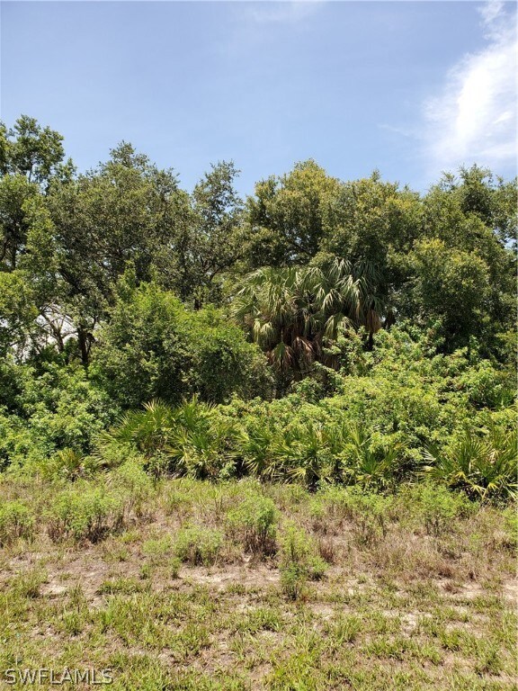 2903 E 18th St, Lehigh Acres, FL 33972 - photo 2