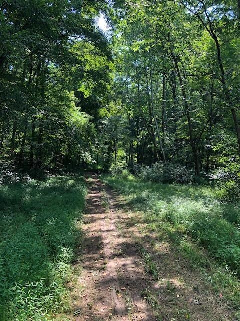 0 Walnut Dowler Rd, Logan, OH 43138 - photo 6