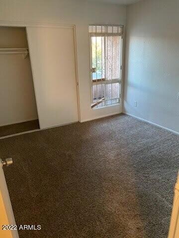 New Carpet
