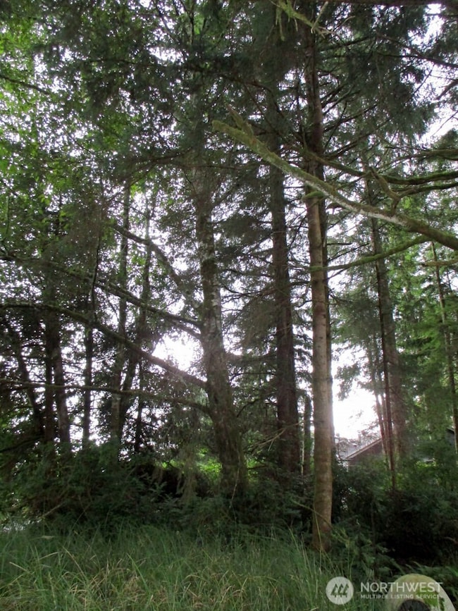 111 Olympic View Ave NE, Ocean Shores, WA 98569 - photo 6