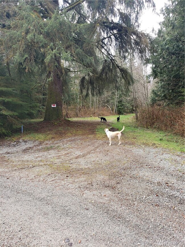 20226 251st St NE, Arlington, WA 98223 - photo 6