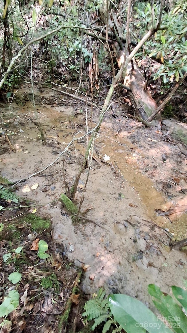 0 Cross Creek Cir, Sylva, NC 28779 - photo 4