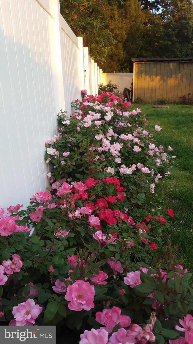 8 Franklin Ave, Berlin, NJ 08009 - photo 3