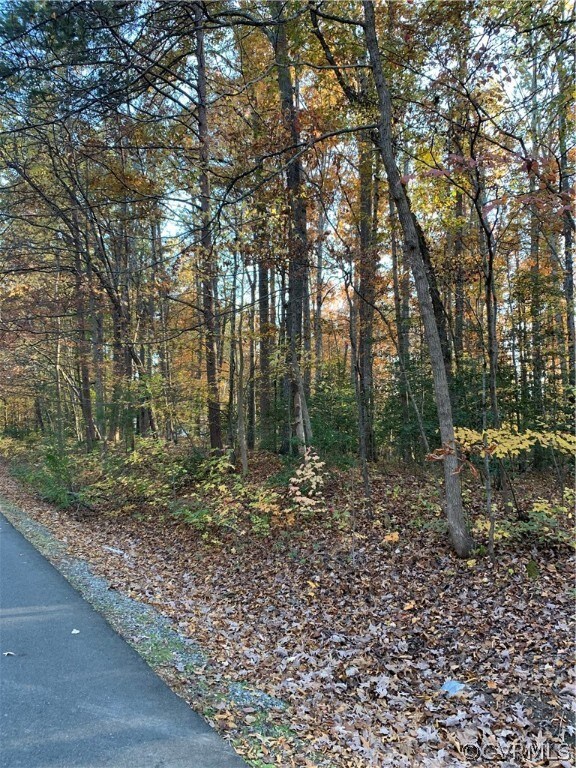 1032 Poplar Dr, Louisa, VA 23093 - photo 2