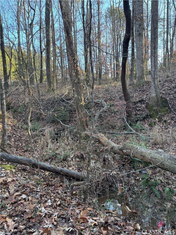 000 Lower River Rd, Covington, GA 30016 - photo 6