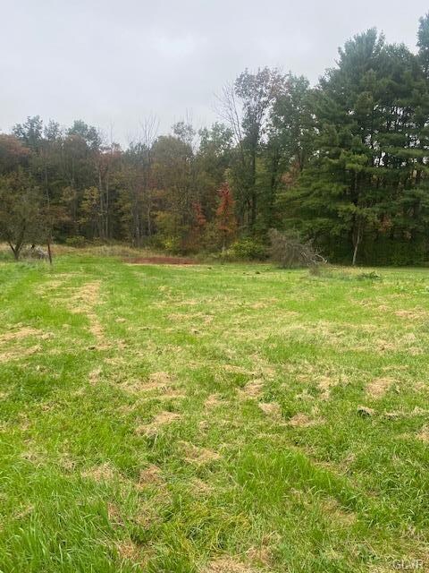 6065 Trexler Rd, Germansville, PA 18053 - photo 3