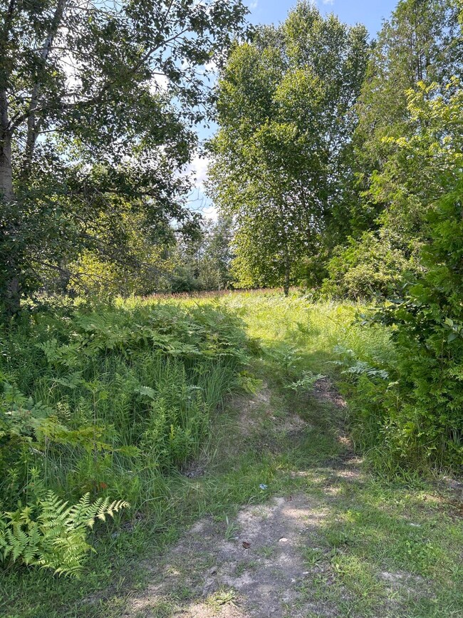 Lot View2
