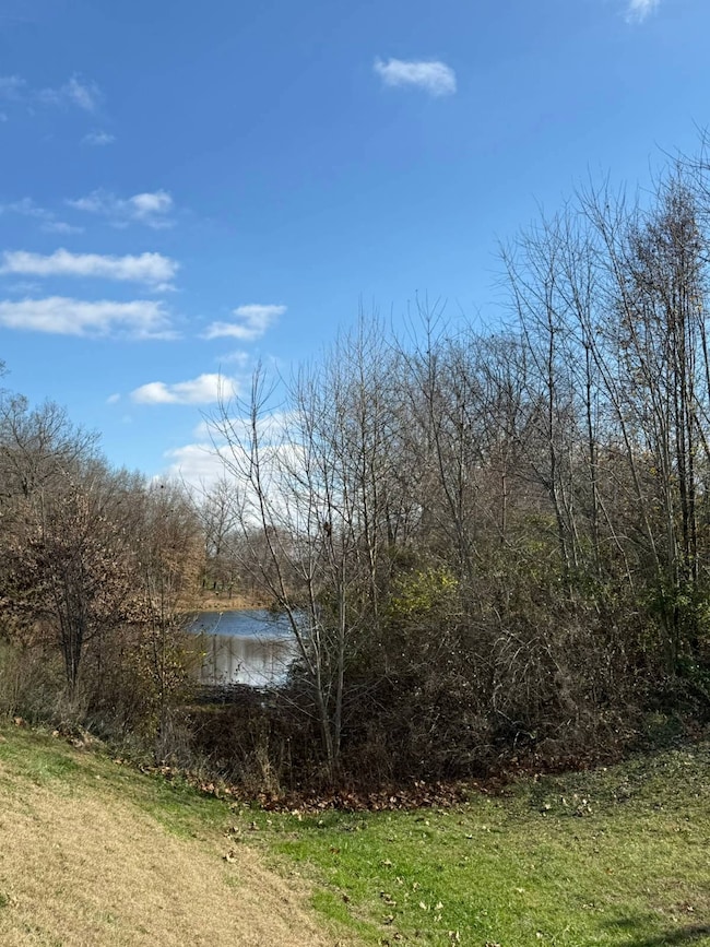 1598 Cr 1100 E, Carmi, IL 62821 - photo 7