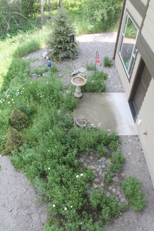 View from deck to back walk out