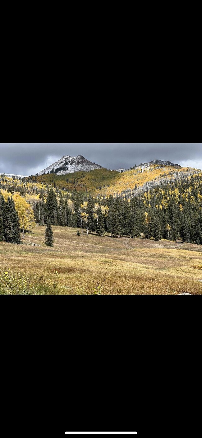 Lot #47 W Village Subdivision unit Eagle Point Resort, Beaver, UT 84713 - photo 3