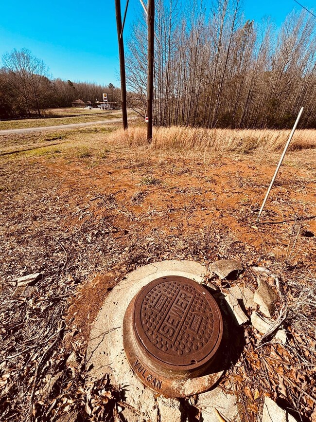 Hwy 12, Durant, MS 39063 - photo 5