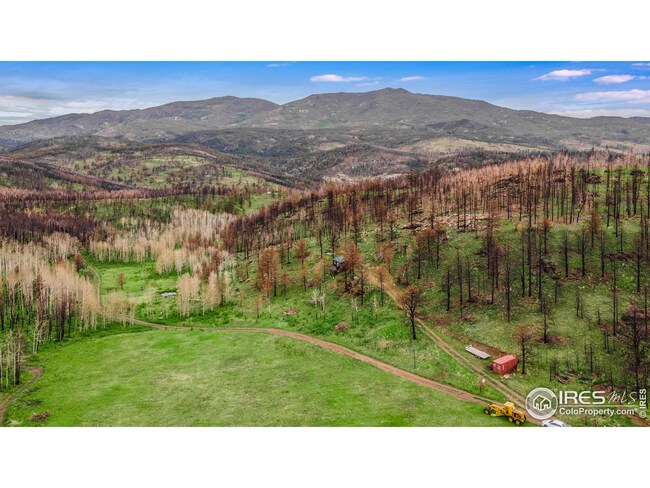 1138 Deer Horn Trail, Bellvue, CO 80512 - photo 2