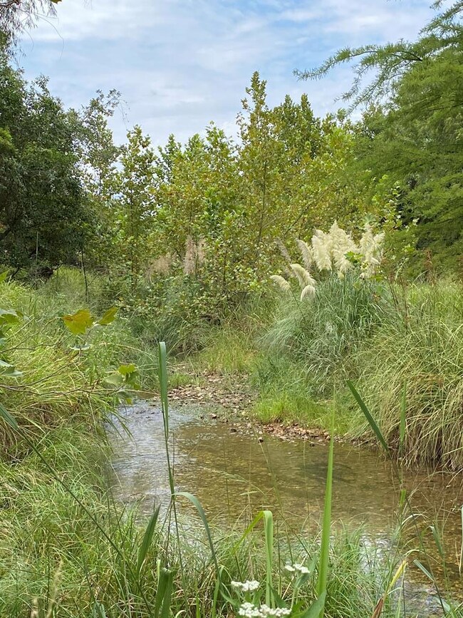 173 Basse Ln, Fredericksburg, TX 78624 - photo 7