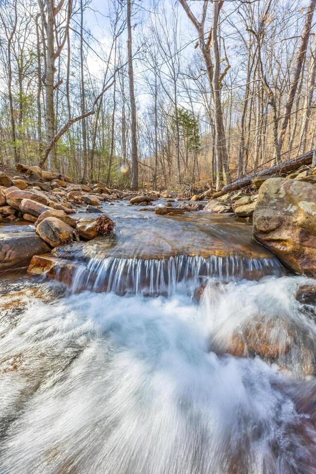 0 Lee Station Mountain Rd, Pikeville, TN 37367 - photo 5