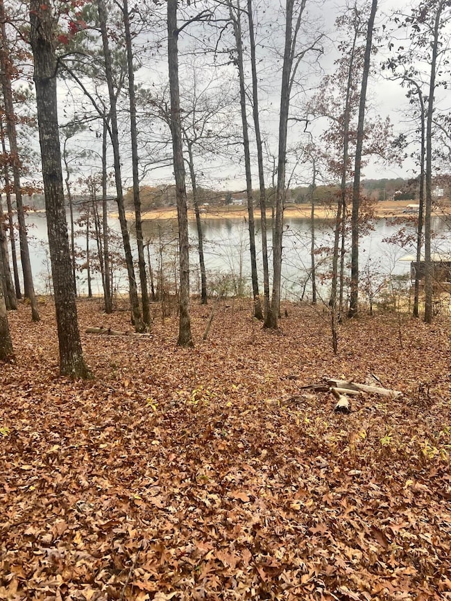 LOT 25 Lynnwood Estates Phase 2, Arley, AL 35541 - photo 2