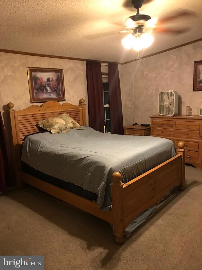 5445 Virginia Line Rd, Berkeley Springs, WV 25411 - photo 3