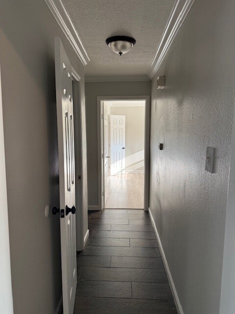 6014 Lattimer Dr, Houston, TX 77035 - photo 3