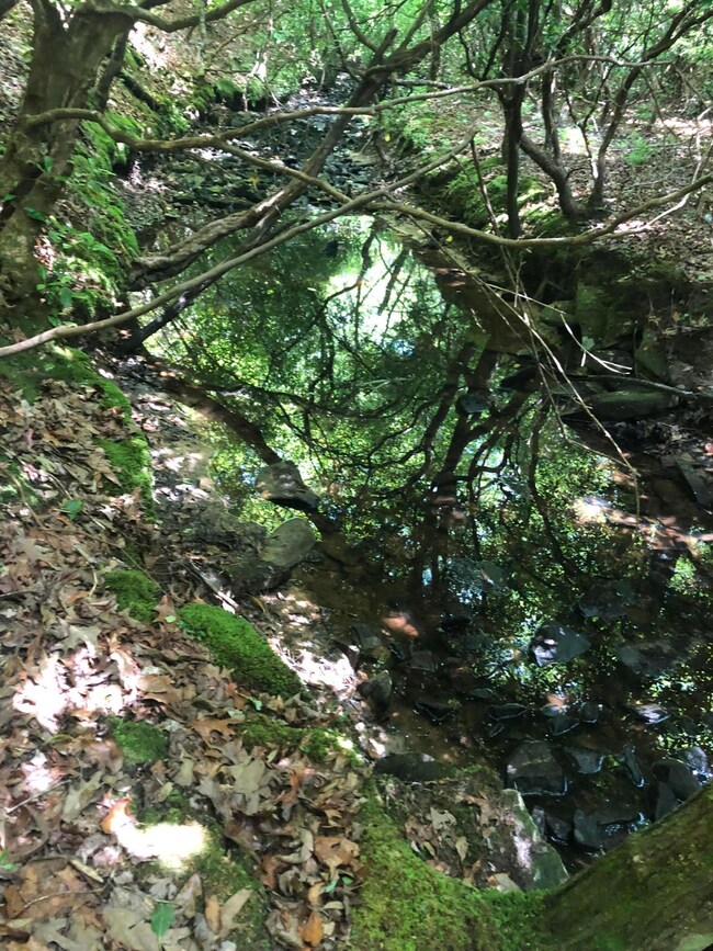 Creek