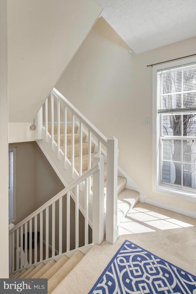 10028 Oakton Terrace Rd unit A, Oakton, VA 22124 - photo 4