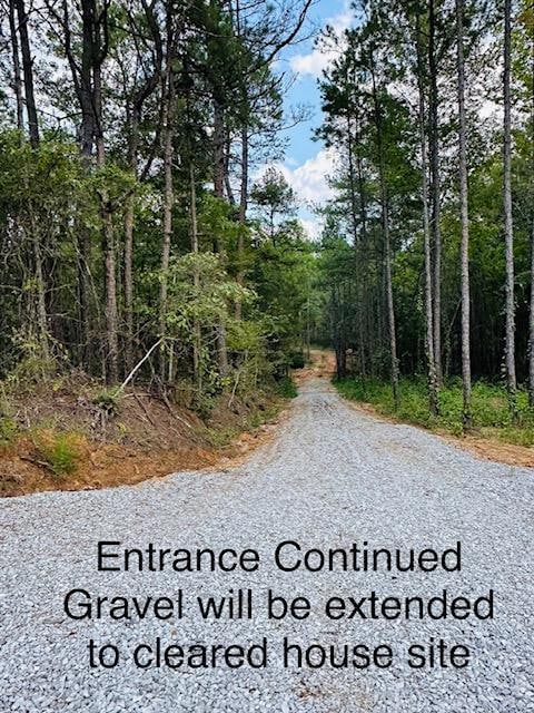 TBD Cr 255 (Lafayette County), Thaxton, MS 38871 - photo 2