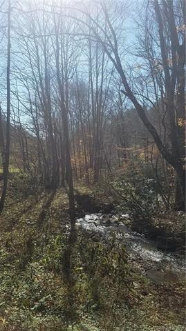000 Fox Creek Rd, Burnsville, NC 28714 - photo 4