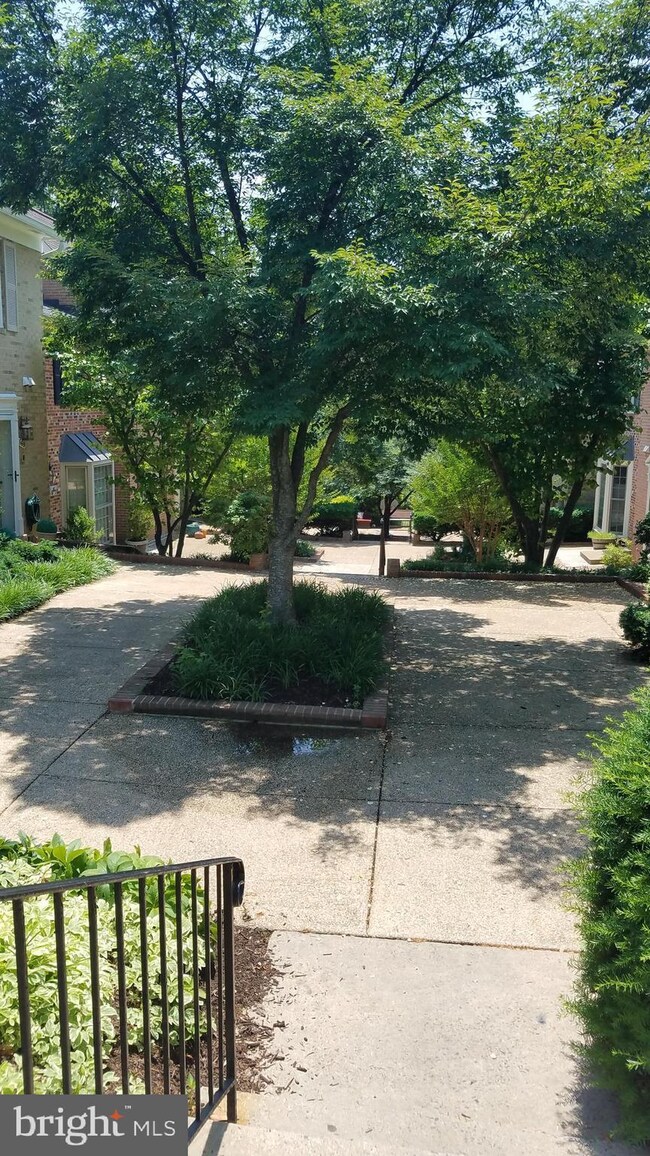 659 N Armistead St, Alexandria, VA 22312 - photo 2