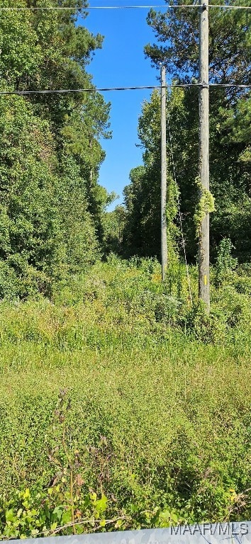 0000 US Highway 331, Montgomery, AL 36105 - photo 3