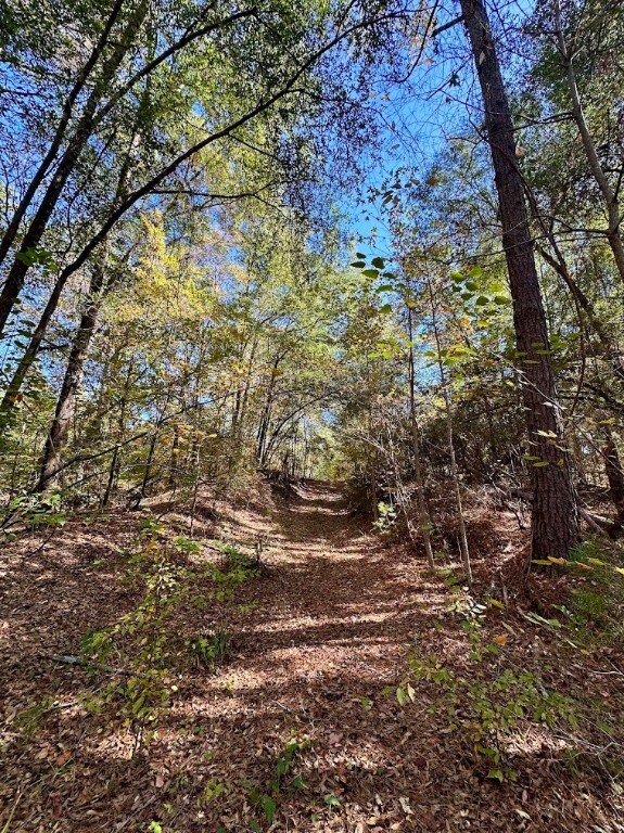 0 Highway 82 N, Eufaula, AL 36027 - photo 6