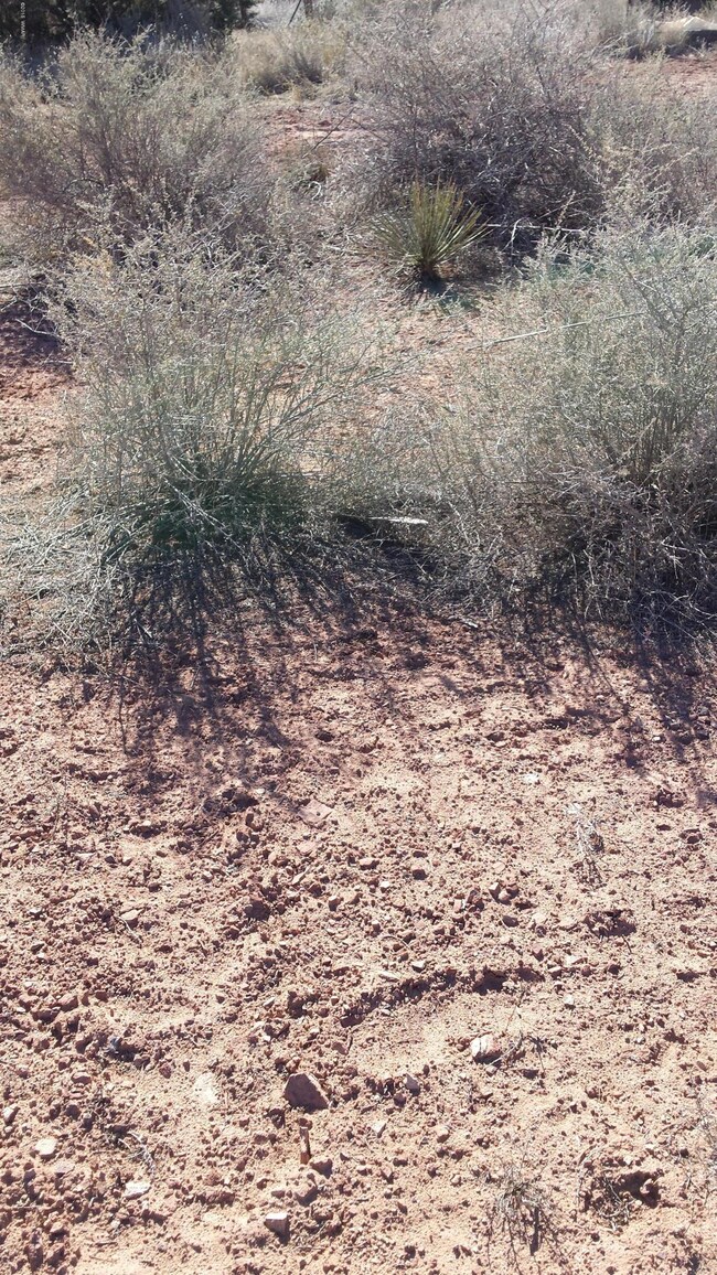 20150207_143159