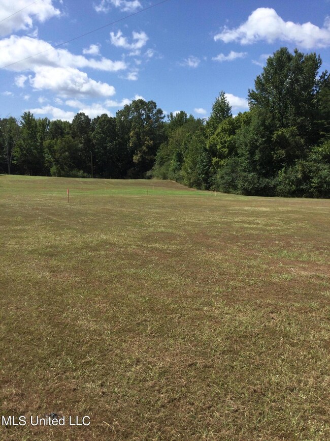 0 Rowell Rd unit 4089133, Coldwater, MS 38618 - photo 5