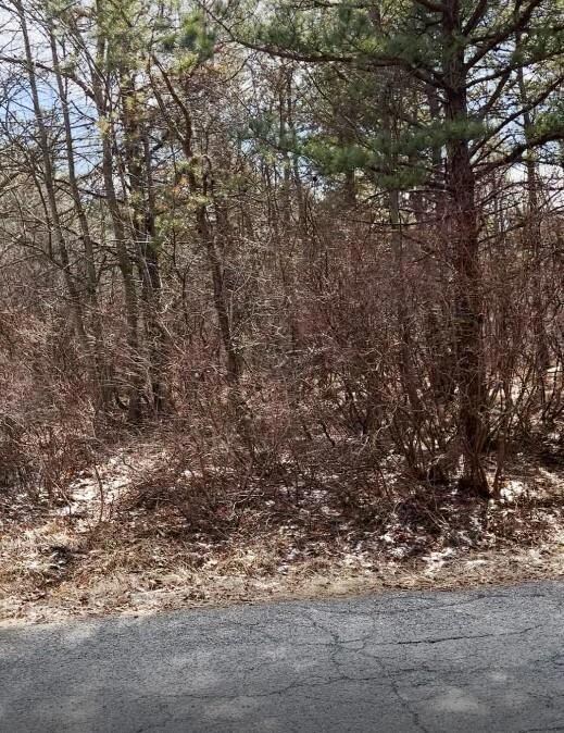 214 Sage Rd unit 1804, Tunkhannock Township, PA 18334 - photo 2