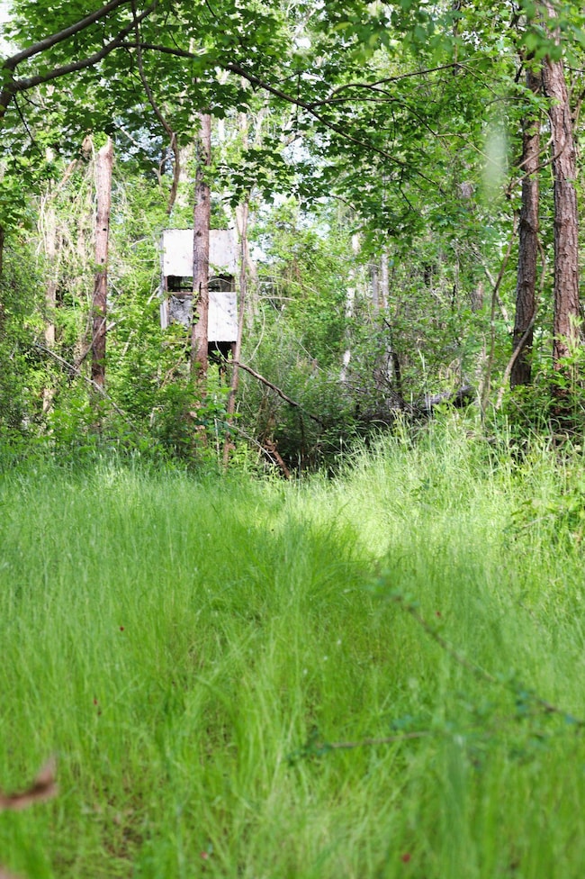 00 Louisiana 442, Tickfaw, LA 70466 - photo 2