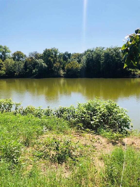 263 Chavez Trail, Weatherford, TX 76087 - photo 3