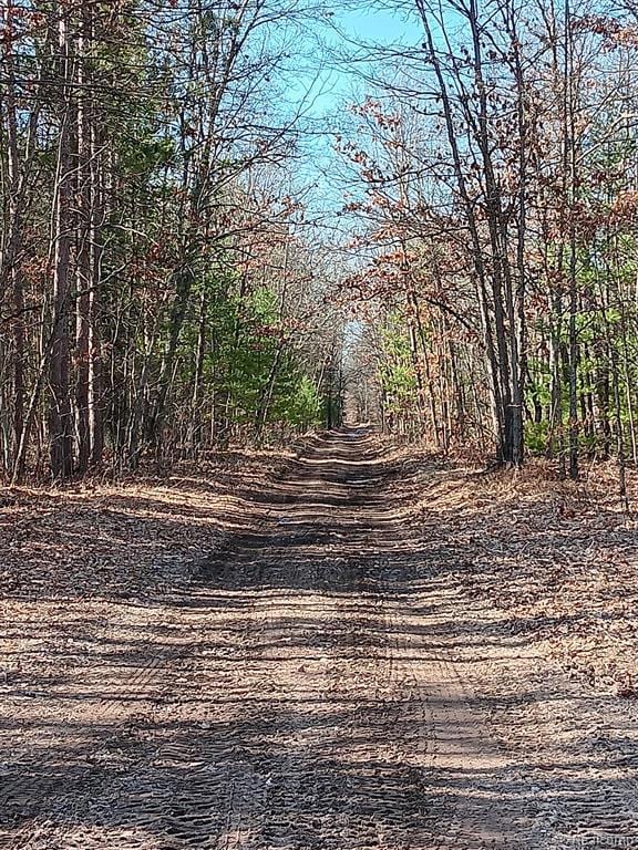 0000 Cedar Creek Rd, Wellston, MI 49689 - photo 2