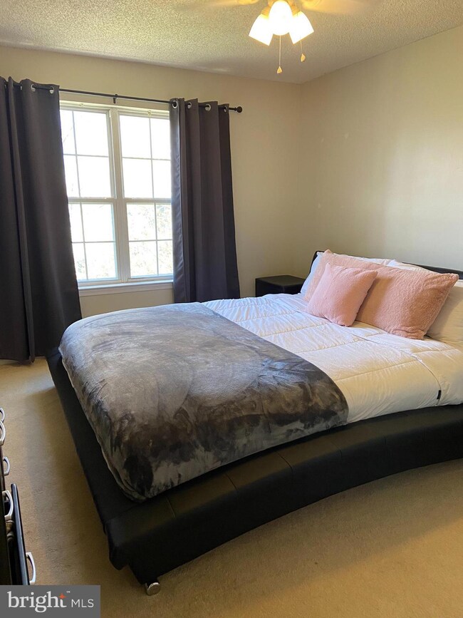 5 Halstead Place, Princeton, NJ 08540 - photo 7