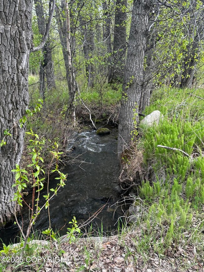 24220 E Bannon Way, Sutton-Alpine, AK 99674 - photo 3