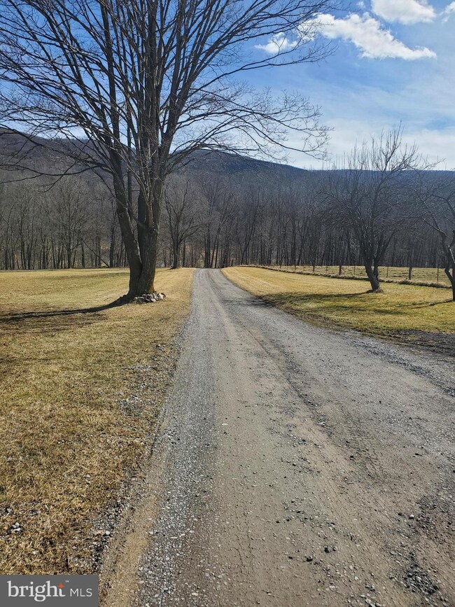 82 Cove Farm Ln, Franklin, WV 26807 - photo 4