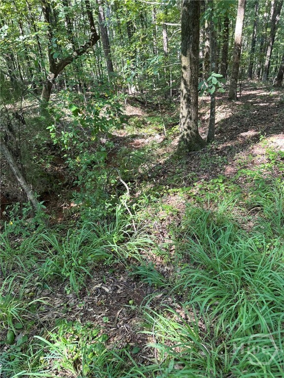 0 Fears Rd unit CL344239, Madison, GA 30650 - photo 6