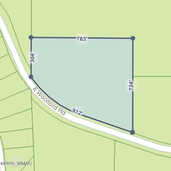 0 E Woolford Rd, Show Low, AZ 85901 - photo 7