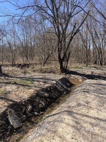 Creekside View