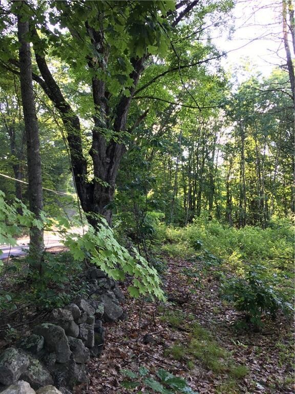 Lot 2 Tall Staples Rd, Newfield, ME 04056 - photo 3