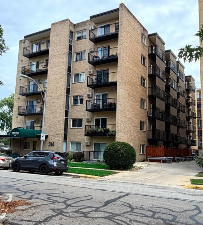 Forest Place Condominiums unit P52, Forest Park, IL 60130 - photo 2