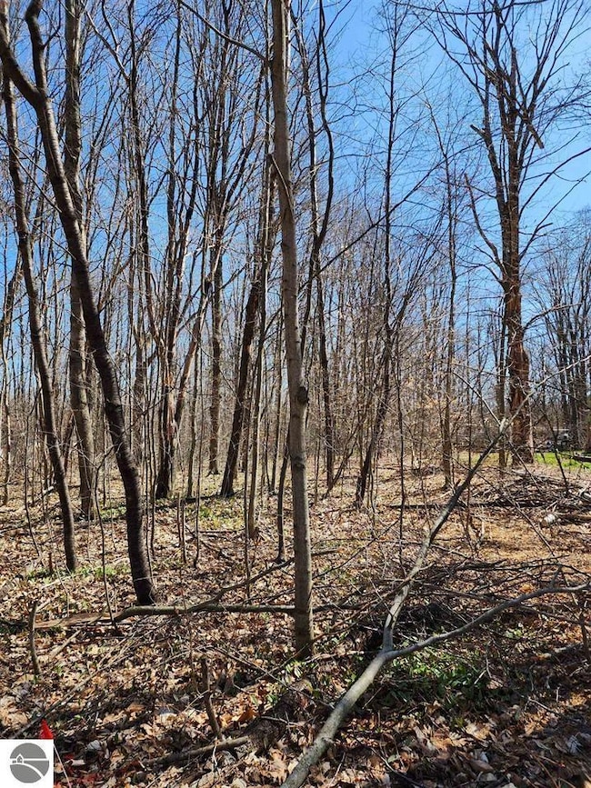 VL Cliffmont Dr, Lakes of the North, MI 49659 - photo 4