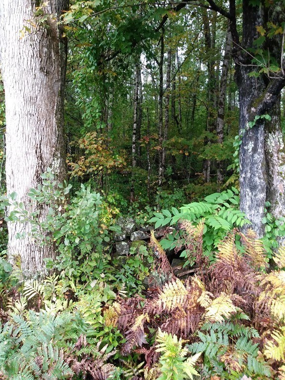 0 Stage Rd unit 72895656, Cummington, MA 01026 - photo 2